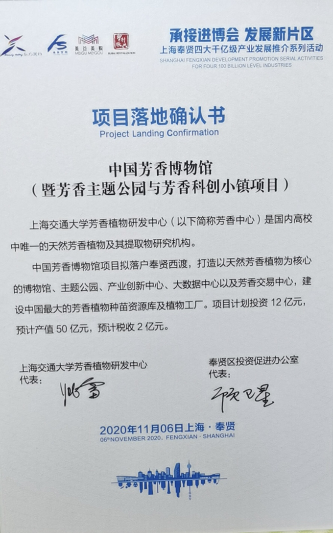 图片11