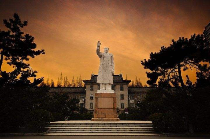 图片6