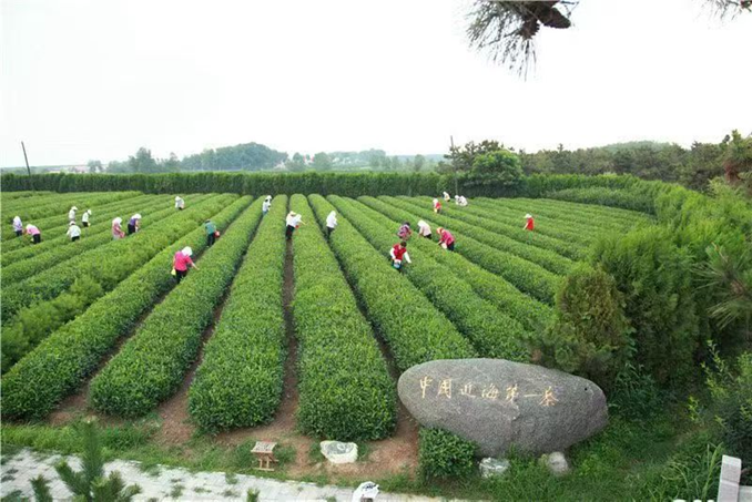 图片5