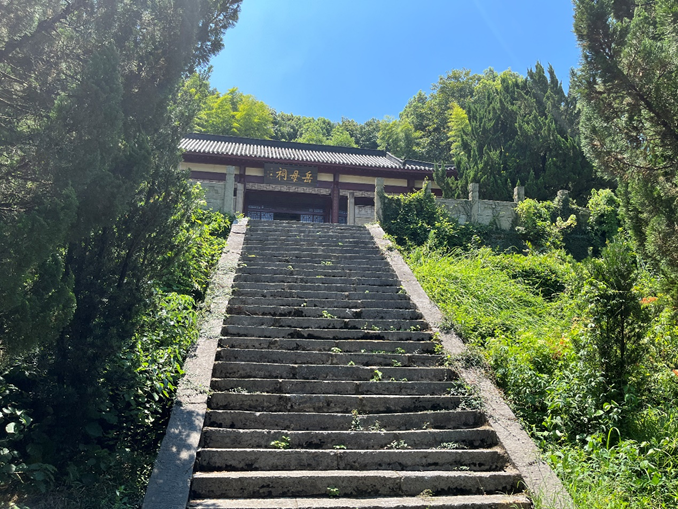 图片4