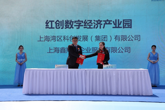 图片10