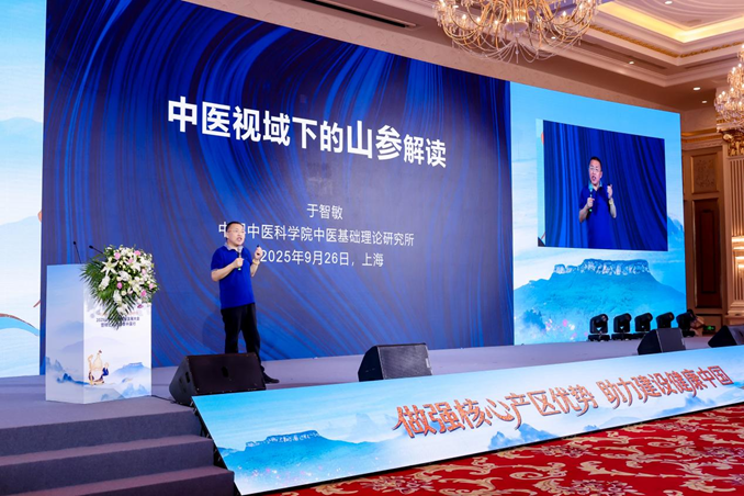 图片7