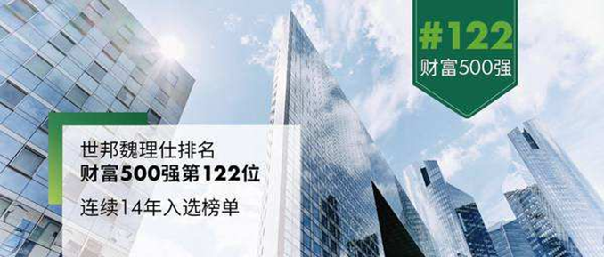 图片7